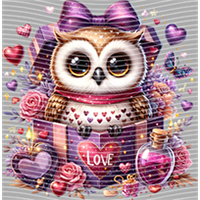 Valentine's Day-QRJ  4494